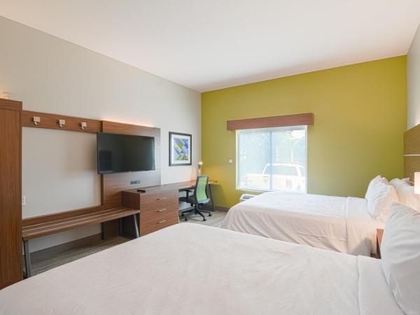 Holiday Inn Express Hotel & Suites Tampa-USF-Busch Gardens, an IHG Hotel : photo 2 de la chambre chambre standard