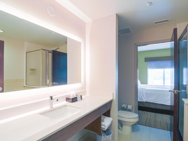 Holiday Inn Express Hotel & Suites Tampa-USF-Busch Gardens, an IHG Hotel : photo 3 de la chambre chambre avec 2 lits king-size - non-fumeurs