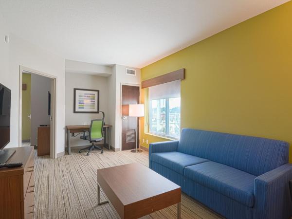 Holiday Inn Express Hotel & Suites Tampa-USF-Busch Gardens, an IHG Hotel : photo 2 de la chambre chambre avec 2 lits king-size - non-fumeurs