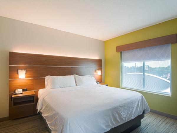 Holiday Inn Express Hotel & Suites Tampa-USF-Busch Gardens, an IHG Hotel : photo 2 de la chambre chambre lit king-size standard