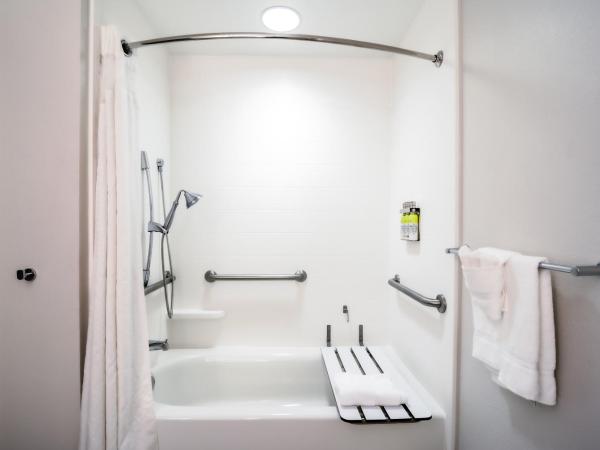 Holiday Inn Express Hotel & Suites Tampa-USF-Busch Gardens, an IHG Hotel : photo 3 de la chambre chambre standard avec 2 lits queen-size et douche accessible en fauteuil roulant - adaptée aux personnes à mobilité réduite