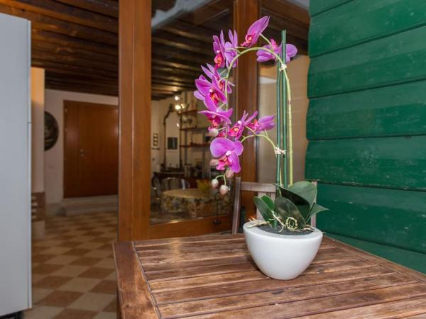 Al Mascaron Ridente : photo 4 de la chambre loft - annexe