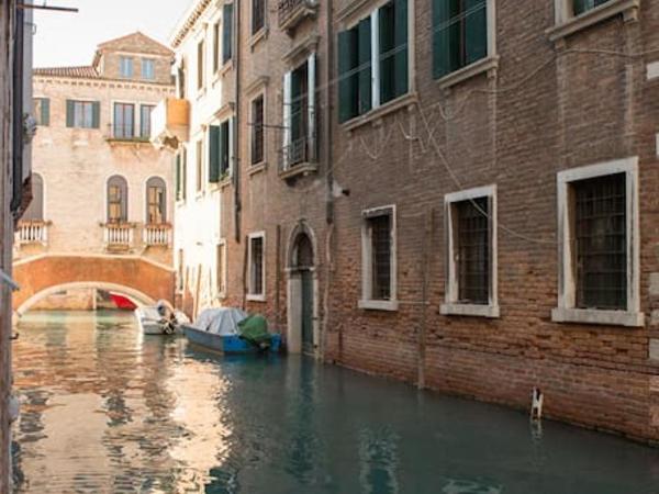 Al Mascaron Ridente : photo 5 de la chambre loft - annexe