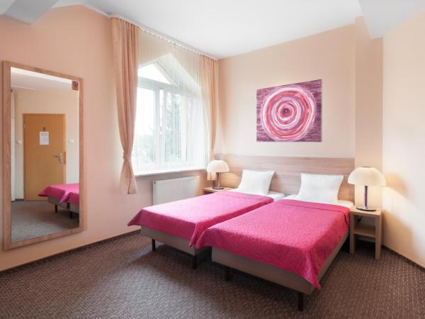 Hotel Petrus : photo 2 de la chambre chambre double