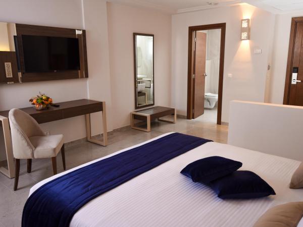 Hôtel Lescure Business and SPA : photo 4 de la chambre suite junior