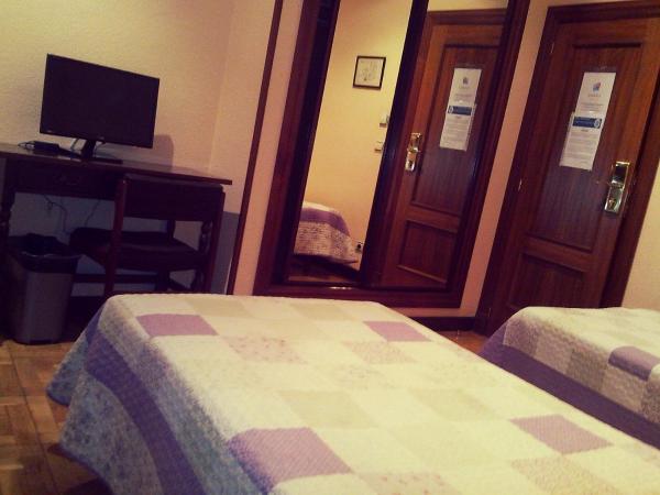 Hotel Residencia Castellano I : photo 9 de la chambre chambre double ou lits jumeaux