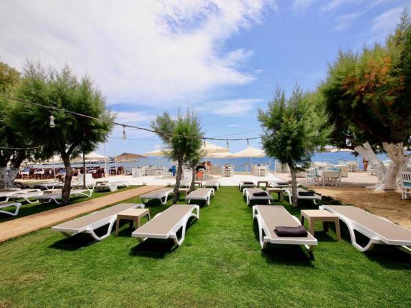 Ali's Hotel Beach : photo 2 de la chambre chambre double ou lits jumeaux standard - vue sur jardin