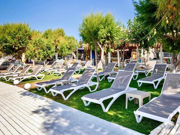 Ali's Hotel Beach : photo 1 de la chambre chambre double ou lits jumeaux standard - vue sur jardin