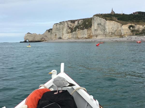 Chambre D'hôte Villa Maurice : photo 5 de la chambre studio avec terrasse