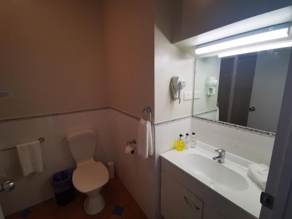 Airport Birches Motel : photo 7 de la chambre appartement familial 2 chambres