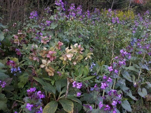 Aubergine : photo 2 de la chambre chambre double avec salle de bains privative