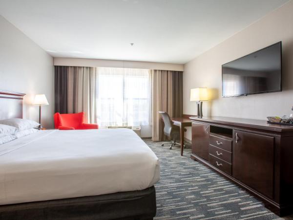 Country Inn & Suites by Radisson, Tucson City Center AZ : photo 5 de la chambre suite lit king-size avec jacuzzi