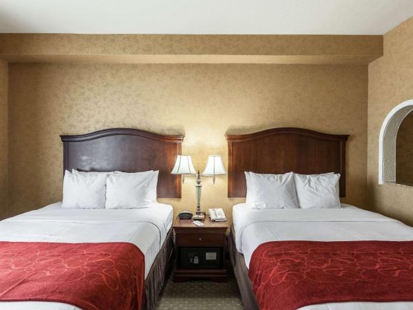 Comfort Suites Alamo Riverwalk : photo 4 de la chambre chambre avec 2 grands lits queen-size 