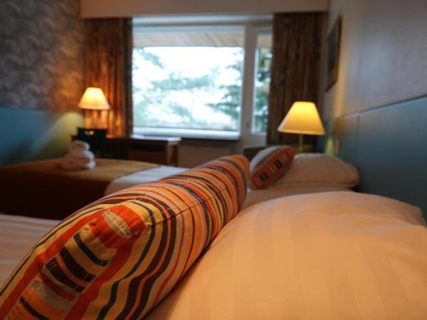 Hotel Sofia : photo 6 de la chambre chambre lits jumeaux Économique