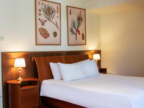 Klub Sosnowy : photo 5 de la chambre suite