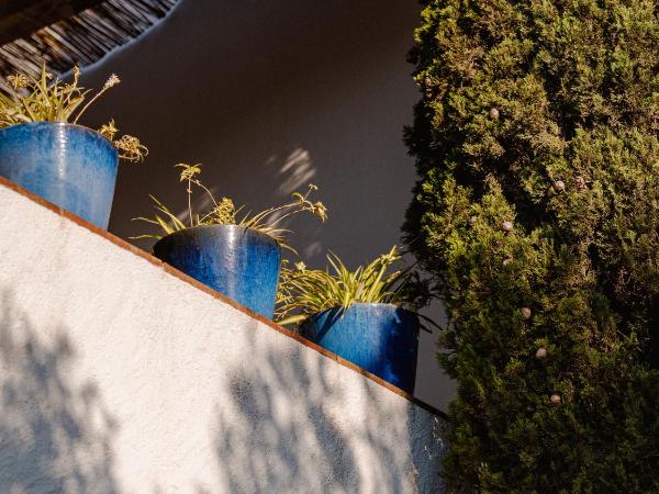 Hotel Casa Nereta : photo 10 de la chambre suite avec terrasse