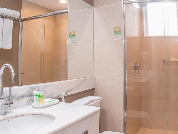 Holiday Inn Belo Horizonte Savassi, an IHG Hotel : photo 3 de la chambre chambre standard