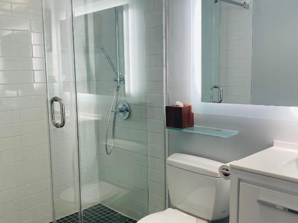 Executive Hotel Cosmopolitan Toronto : photo 1 de la chambre studio