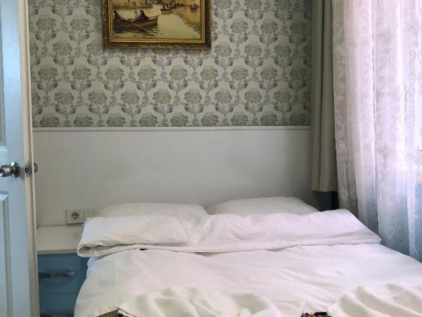 Tulip Guesthouse : photo 2 de la chambre chambre simple