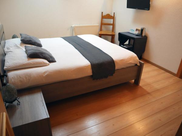 Gruyère Rooms : photo 7 de la chambre chambre double Économique avec fenêtre de toit