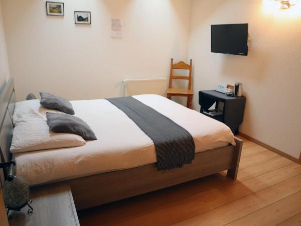 Gruyère Rooms : photo 5 de la chambre chambre double Économique avec fenêtre de toit