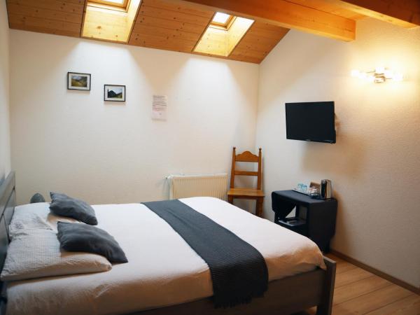 Gruyère Rooms : photo 2 de la chambre chambre double Économique avec fenêtre de toit