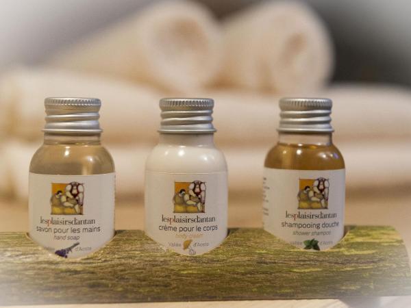 Les Plaisirs d'Antan : photo 7 de la chambre chambre double avec accès au spa