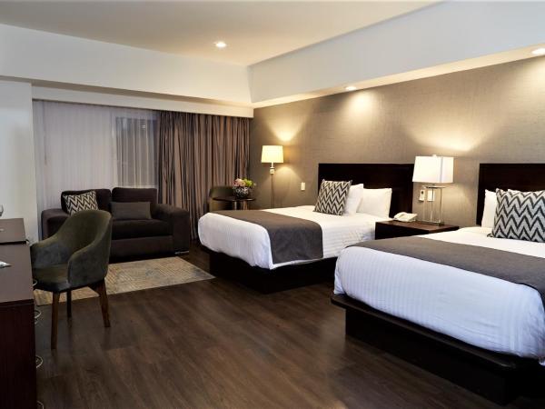 Ejecutivo Express Guadalajara Providencia - Av México : photo 1 de la chambre suite exécutive