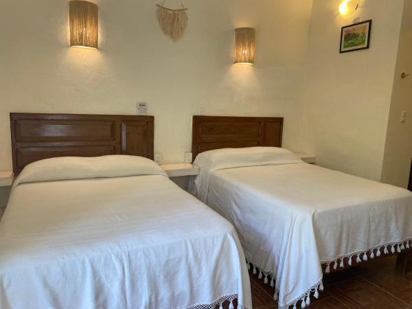 Hotel La Piazzetta : photo 6 de la chambre chambre double avec 2 lits doubles - vue sur jardin 