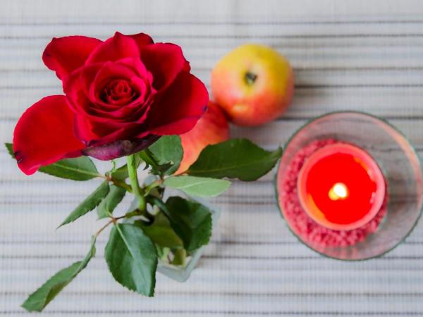 Pension Piano Forte Leipzig Mitte : photo 1 de la chambre chambre double avec salle de bains privative