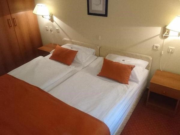 Hotel Vila Ružica- glavna zgrada i depandanse : photo 3 de la chambre chambre double ou lits jumeaux standard