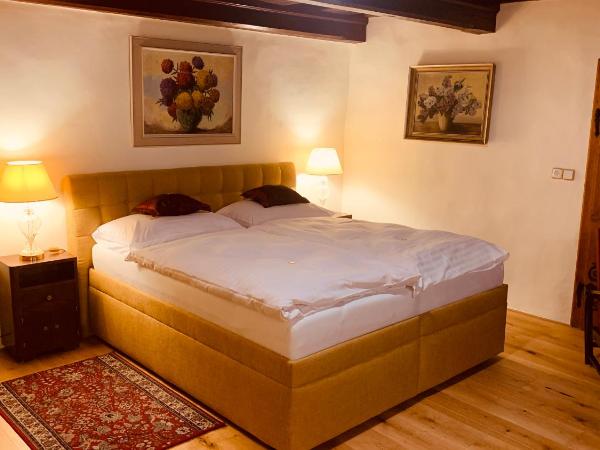 Penzion Kapr : photo 1 de la chambre chambre confort avec vue sur rivière