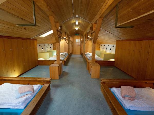 Brienz Youth Hostel : photo 5 de la chambre lit simple en dortoir