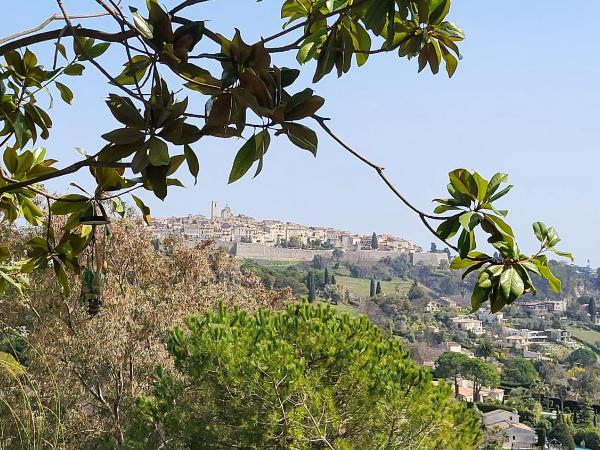 Ideal BnB : photo 6 de la chambre appartement avec piscine - vue sur jardin
