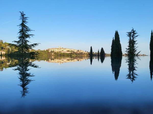 Ideal BnB : photo 2 de la chambre appartement avec piscine - vue sur jardin