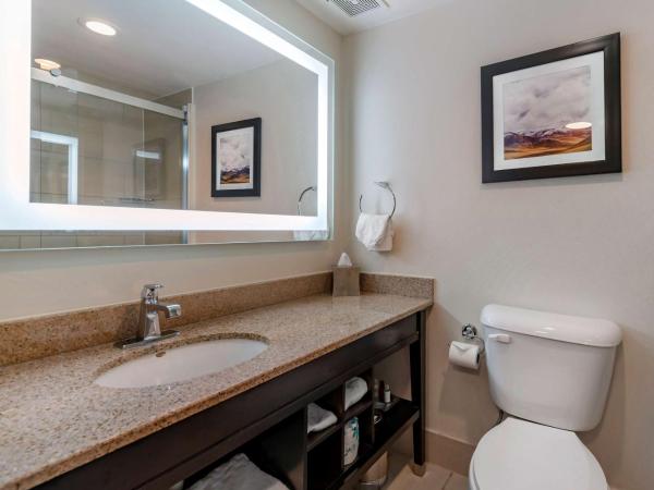 Best Western Premier Denver East : photo 3 de la chambre chambre avec 2 lits queen-size et terrasse