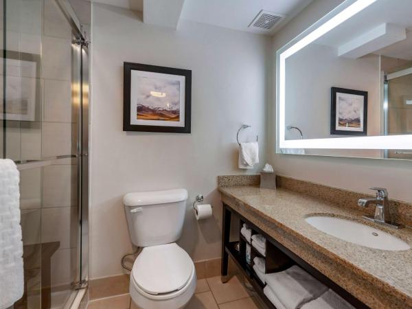 Best Western Premier Denver East : photo 4 de la chambre suite lit king-size avec canapé-lit - vue sur piscine