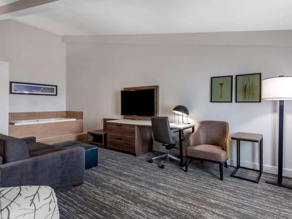 Best Western Premier Denver East : photo 3 de la chambre suite lit king-size avec canapé-lit - vue sur piscine