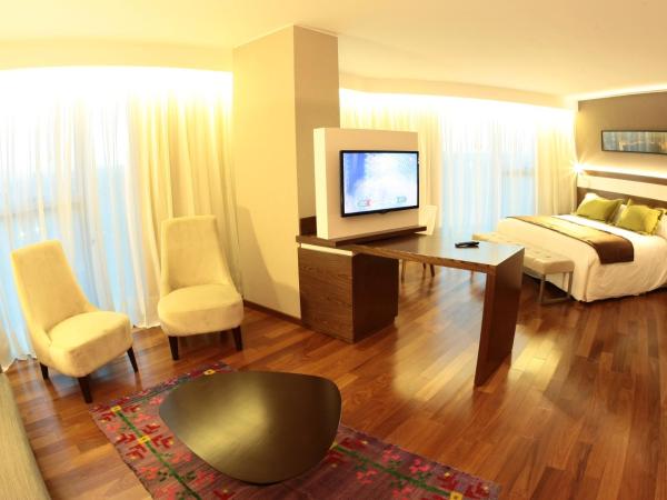 Yrigoyen 111 Hotel : photo 5 de la chambre suite exécutive