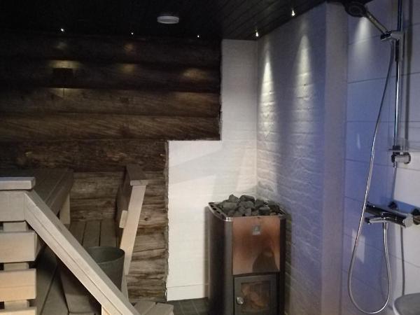 Napapiirin Järvilomat : photo 10 de la chambre cottage 1 chambre avec sauna