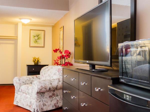 Niagara Falls Motor Lodge : photo 8 de la chambre chambre lit king-size