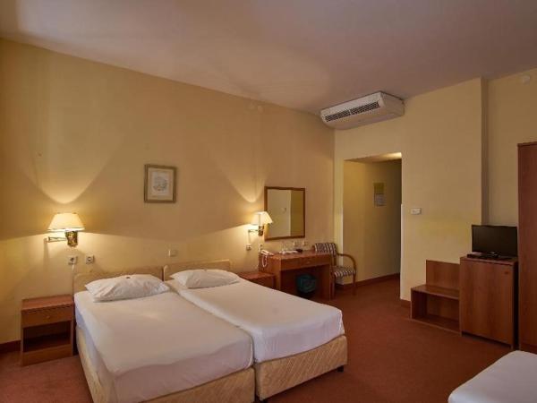 Hotel Vila Ružica- glavna zgrada i depandanse : photo 4 de la chambre chambre familiale avec salle de bains