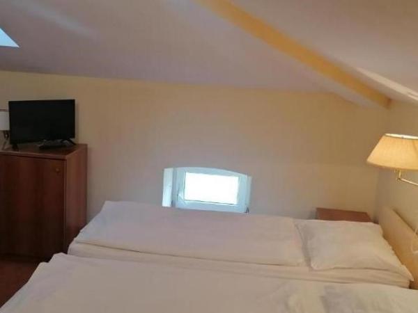 Hotel Vila Ružica- glavna zgrada i depandanse : photo 5 de la chambre chambre double ou lits jumeaux Économique 