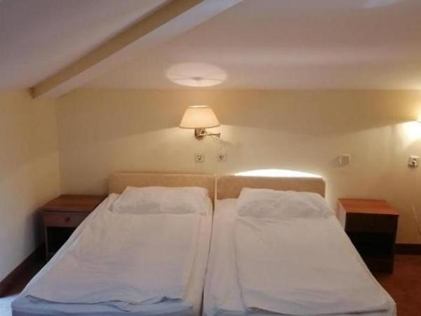 Hotel Vila Ružica- glavna zgrada i depandanse : photo 3 de la chambre chambre double ou lits jumeaux Économique 