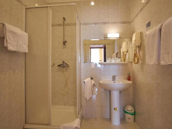 Hotel Vila Ružica- glavna zgrada i depandanse : photo 4 de la chambre chambre double ou lits jumeaux Économique 