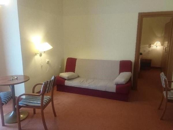 Hotel Vila Ružica- glavna zgrada i depandanse : photo 9 de la chambre suite familiale