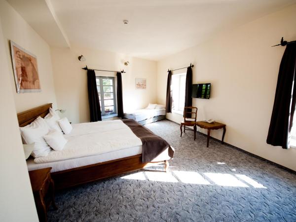 Malom Hotel : photo 3 de la chambre chambre double