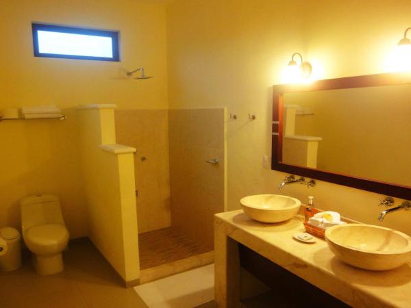 Merida Santiago Hotel Boutique : photo 9 de la chambre suite lit king-size avec terrasse privée - vue sur piscine