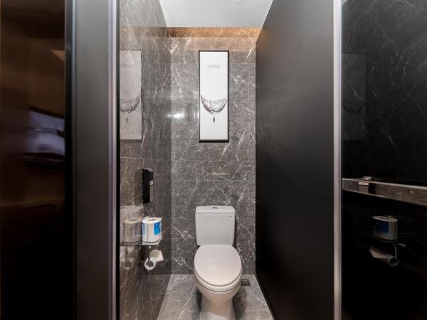 Paco Hotel Canton Tower Pazhou--FreeShuttle Bus for CantonFair : photo 1 de la chambre chambre lits jumeaux avec salle de bains