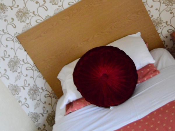 Oak Lea Hotel : photo 5 de la chambre chambre simple standard avec douche